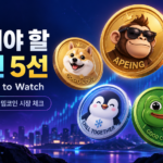 밈코인5개